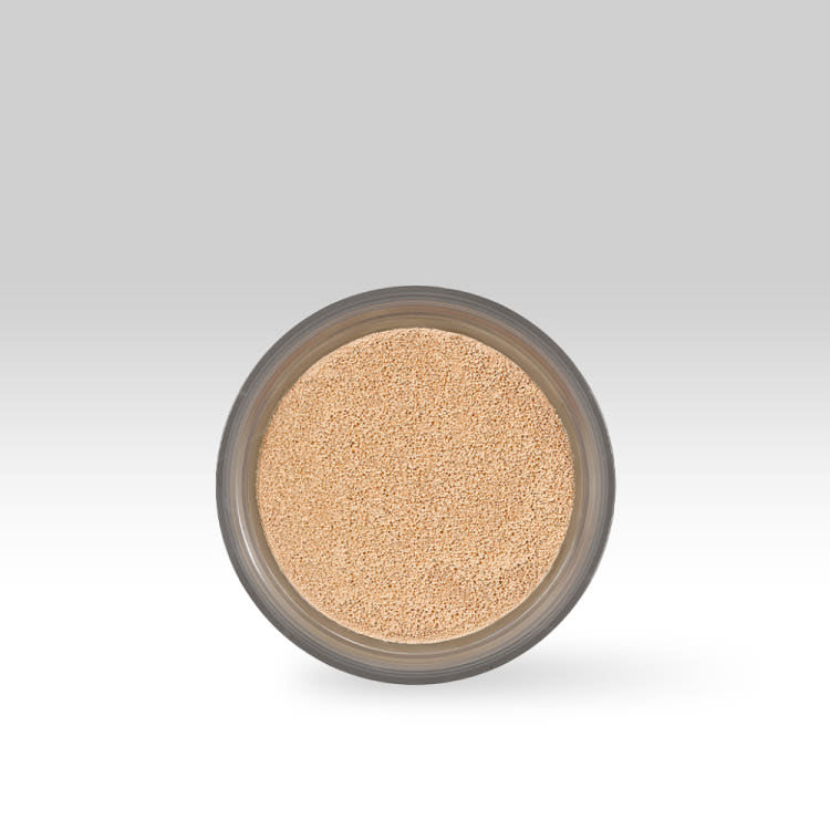 IOPE Air Cushion Cover Refill 15g SPF50/PA+++ - Cushion foundation refill